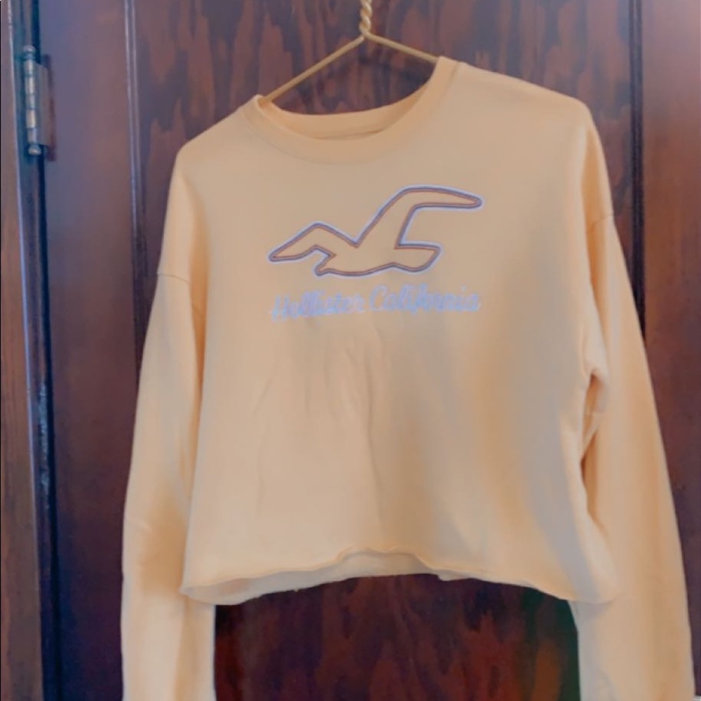 hollister sweatshirt